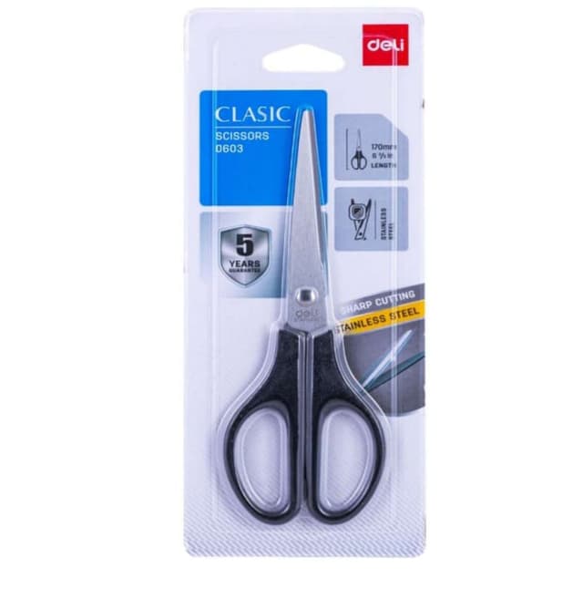 stainless Scissors 